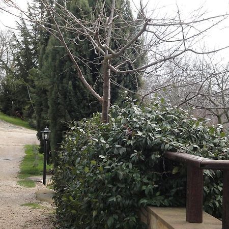 Agriturismo Le Valli Hotel Acuto Buitenkant foto