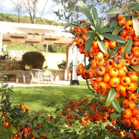 Agriturismo Le Valli Hotel Acuto Buitenkant foto