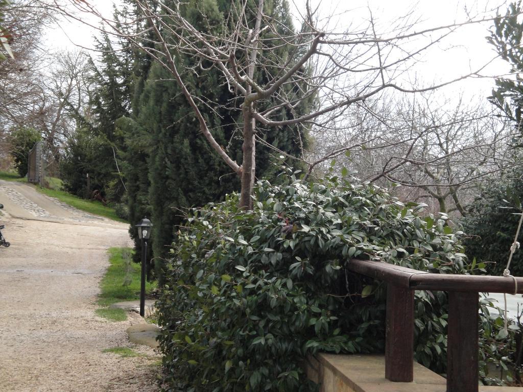 Agriturismo Le Valli Hotel Acuto Buitenkant foto