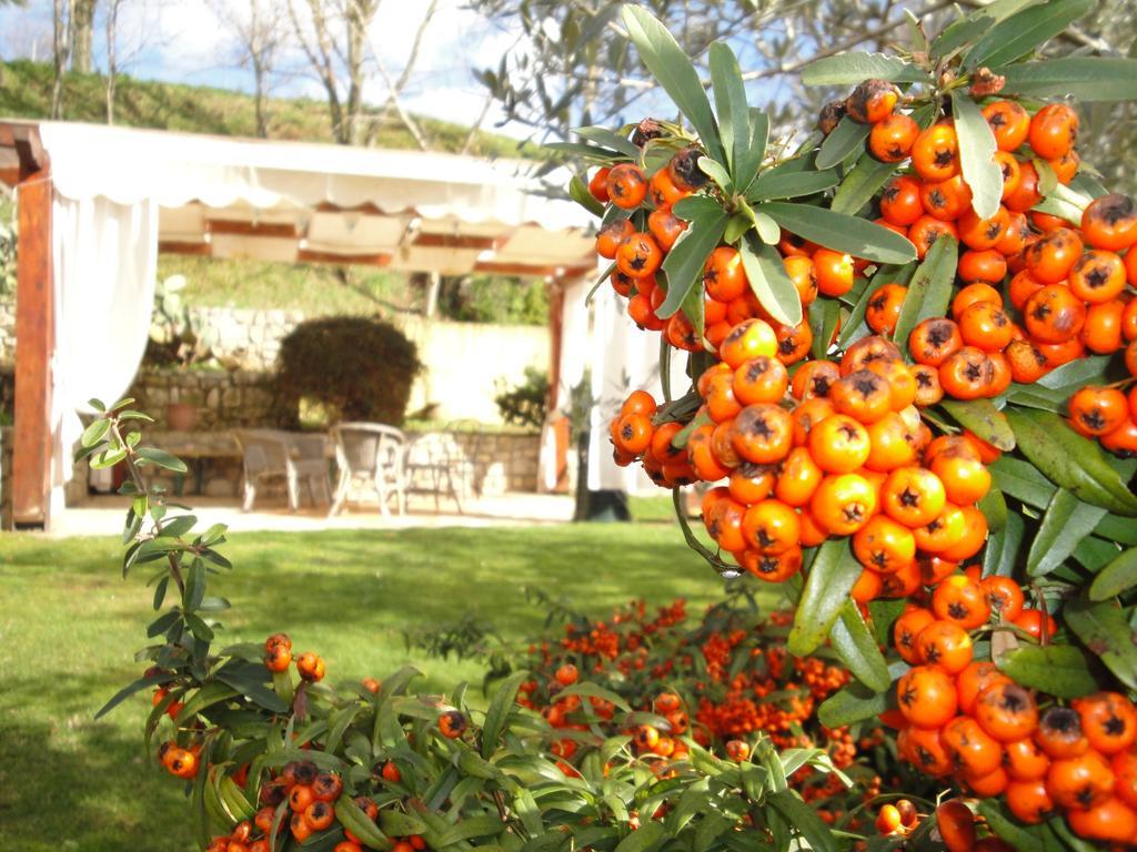 Agriturismo Le Valli Hotel Acuto Buitenkant foto